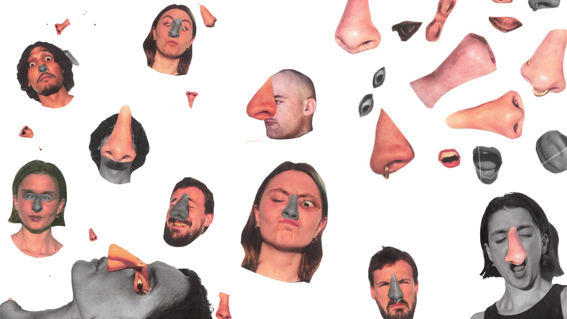 Picture of Nosejob