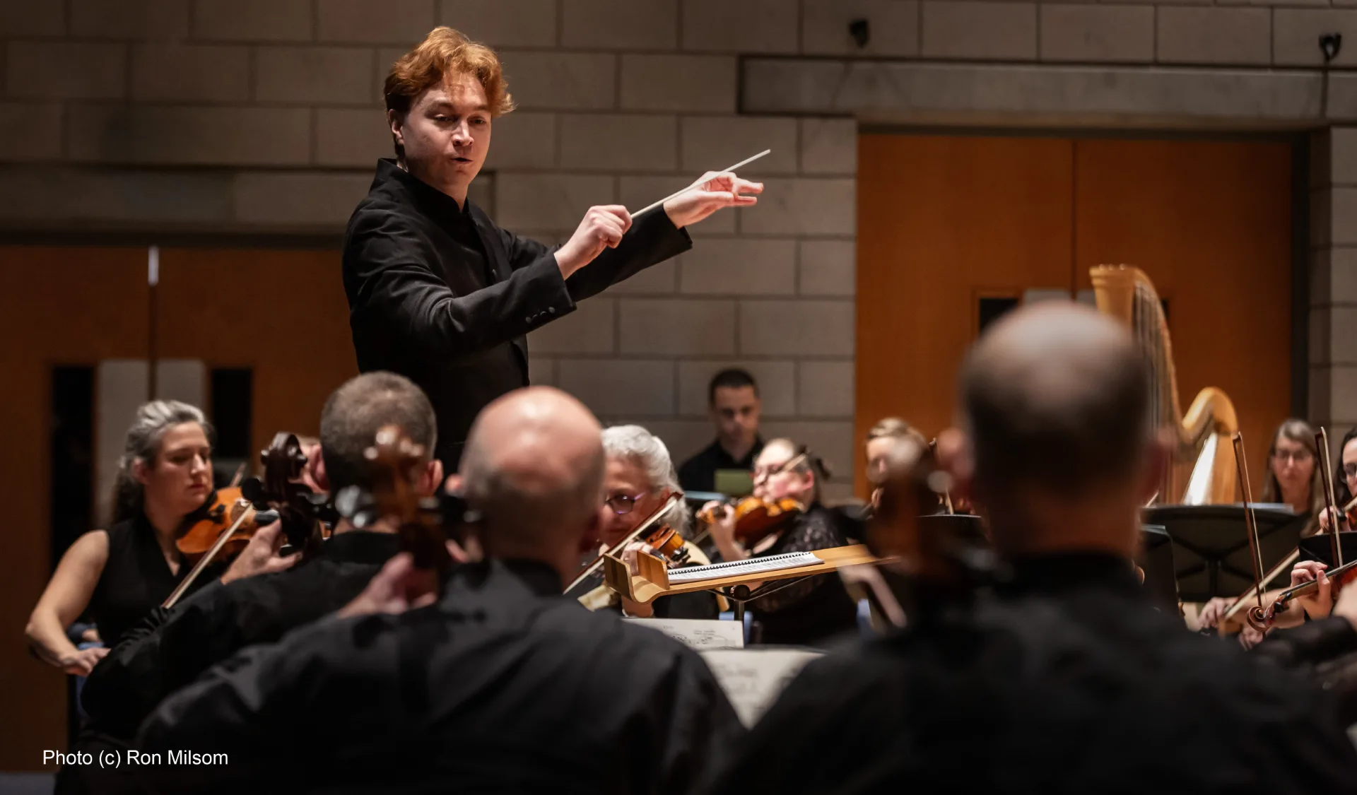 Picture of Bath Symphony Orchestra