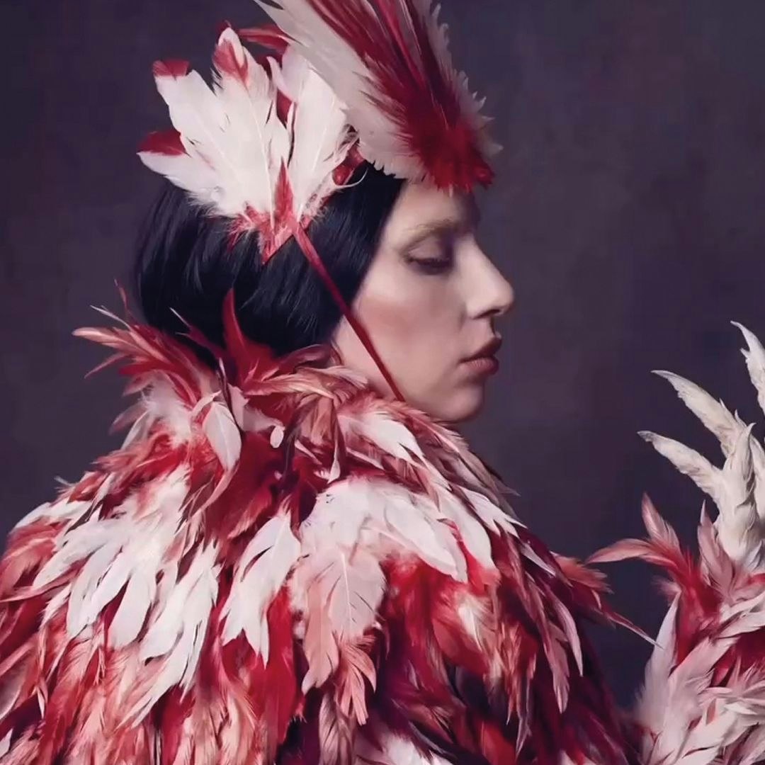 Picture of La Jay Gaga