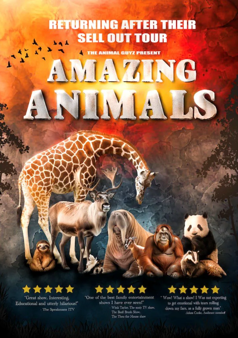 Picture of Amazing Animals