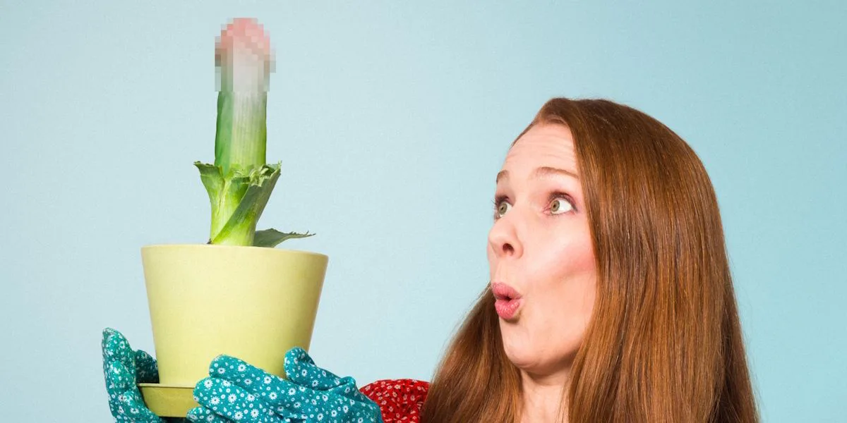 Picture of Diane Spencer: Coming Together