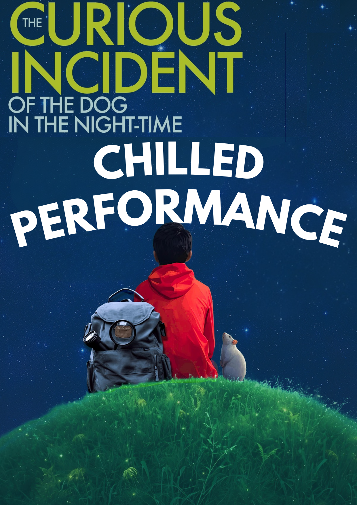 CHILLED PERFORMANCE: The Curious Incident Of The Night-Time
