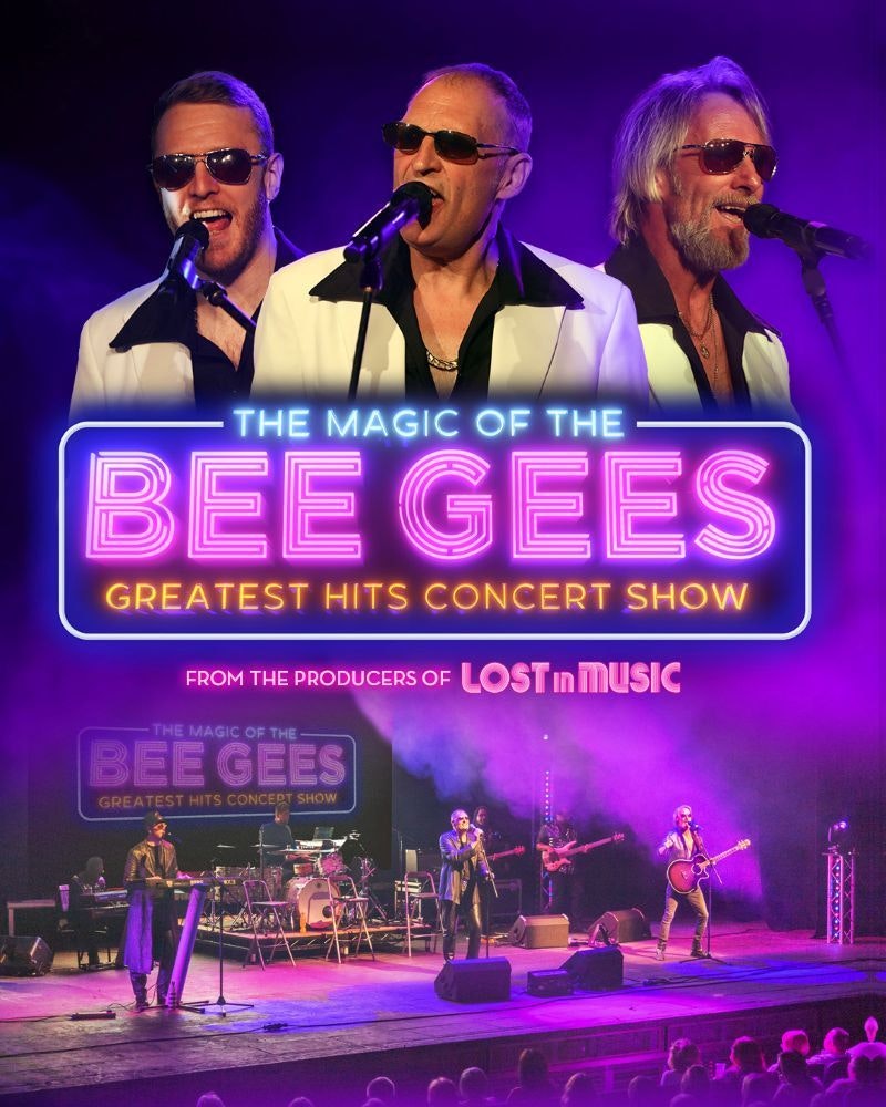 Picture of The Magic of the Bee Gees