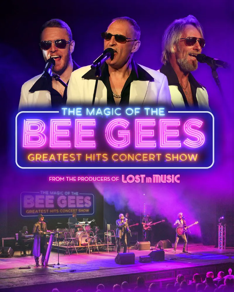 Picture of The Magic of the Bee Gees