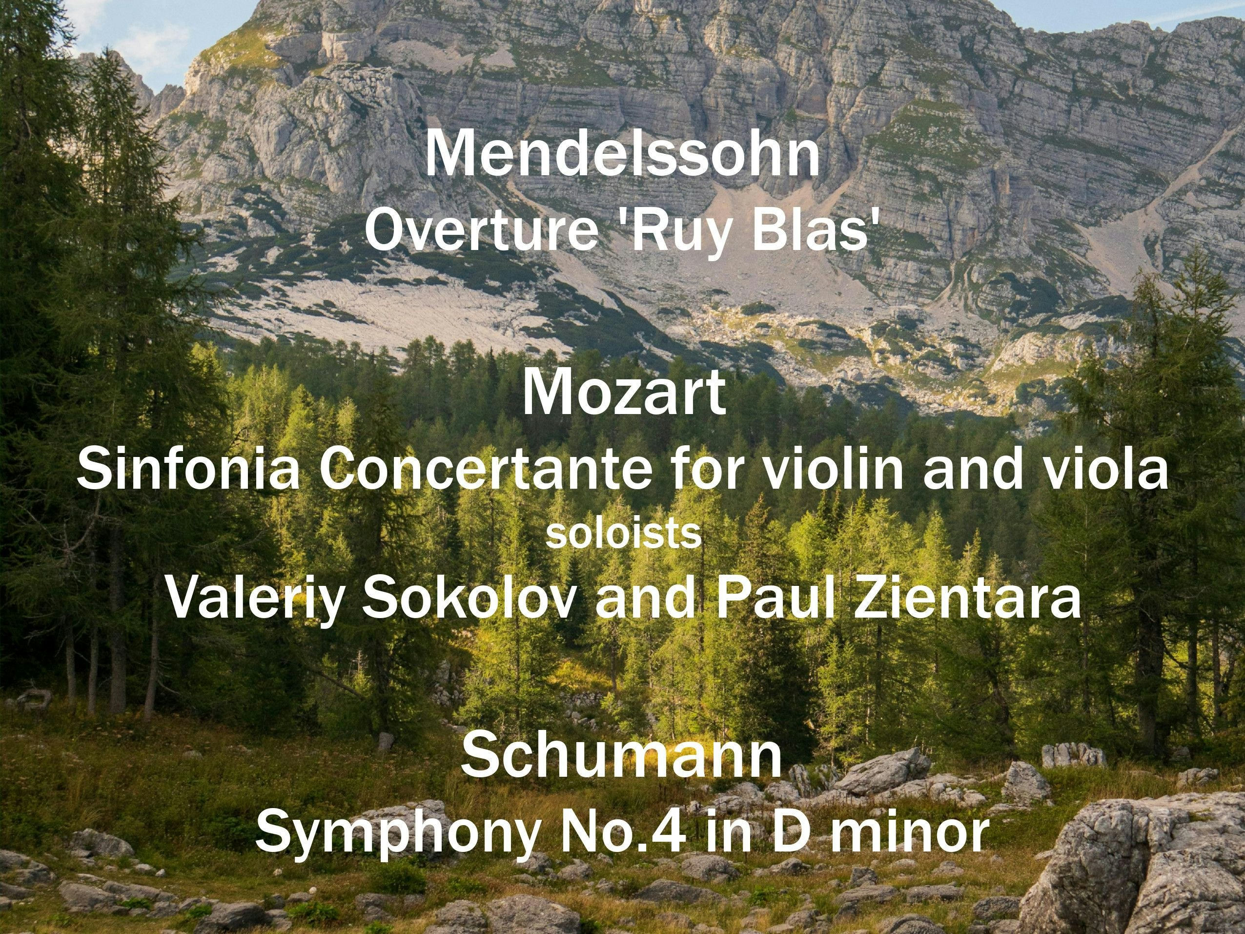 Picture of Finchley Symphony Orchestra