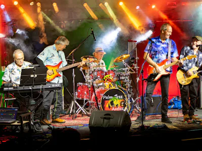 Picture of Saturday Night Live with The Palm Tree Antics