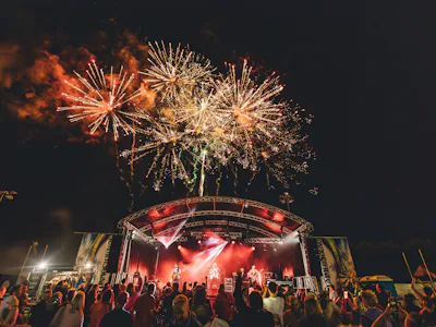 Picture of Summer Sound Music Festival