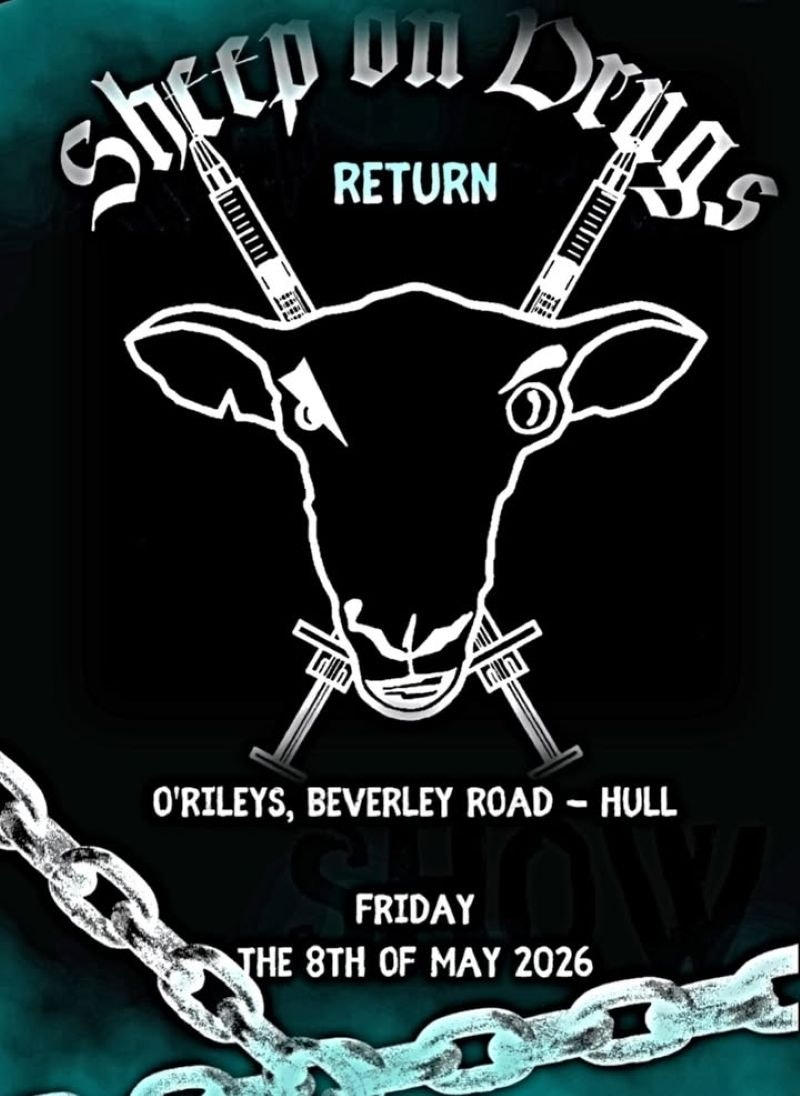 Picture of Sheep On Drugs plus support from Great Northern Hotel