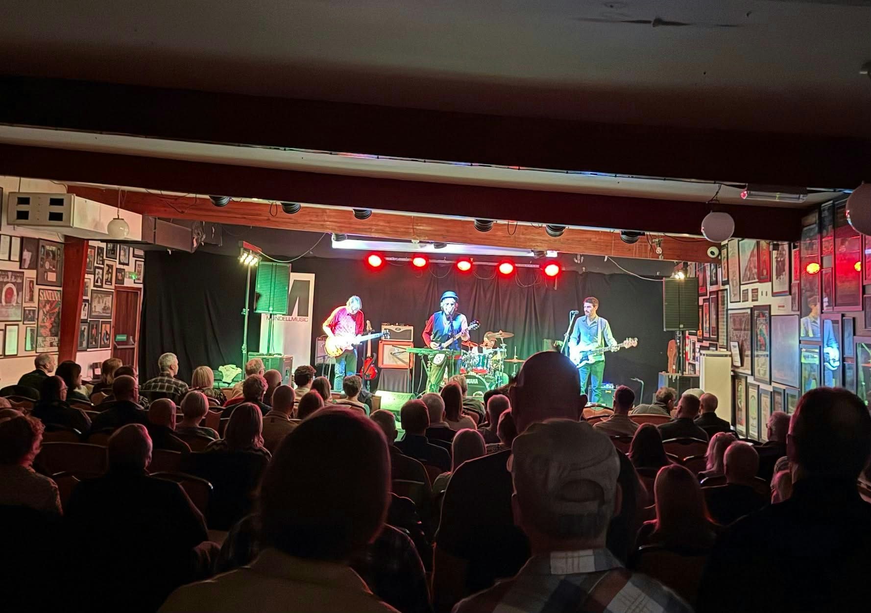Picture of The Petty Heartbreakers (Tom Petty tribute band)
