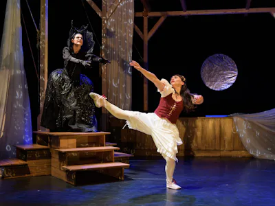 Picture of Luca Silvestrini's The Magic Flute