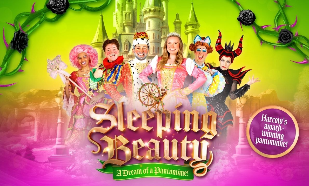 Sleeping Beauty Christmas pantomime