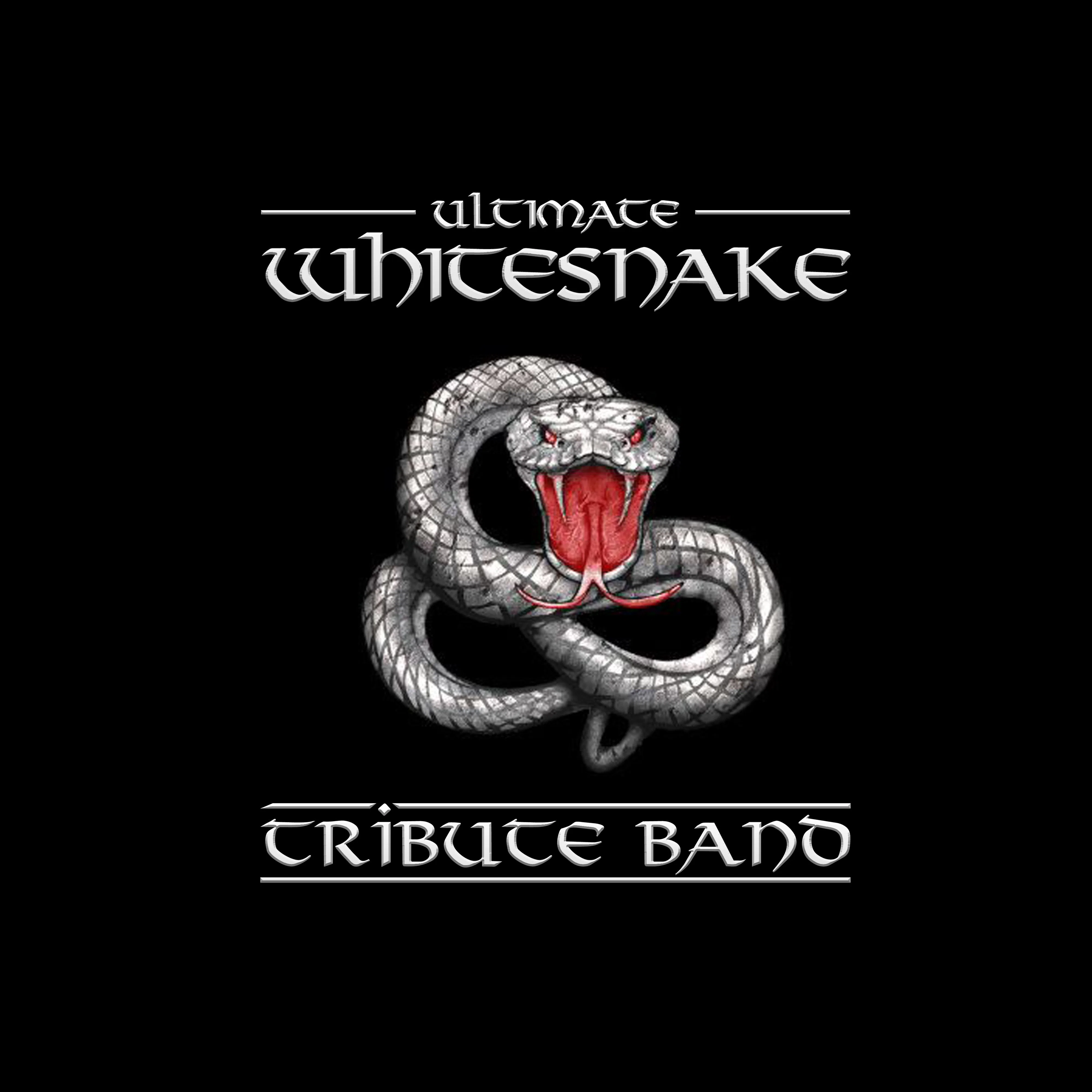 Picture of Ultimate Whitesnake