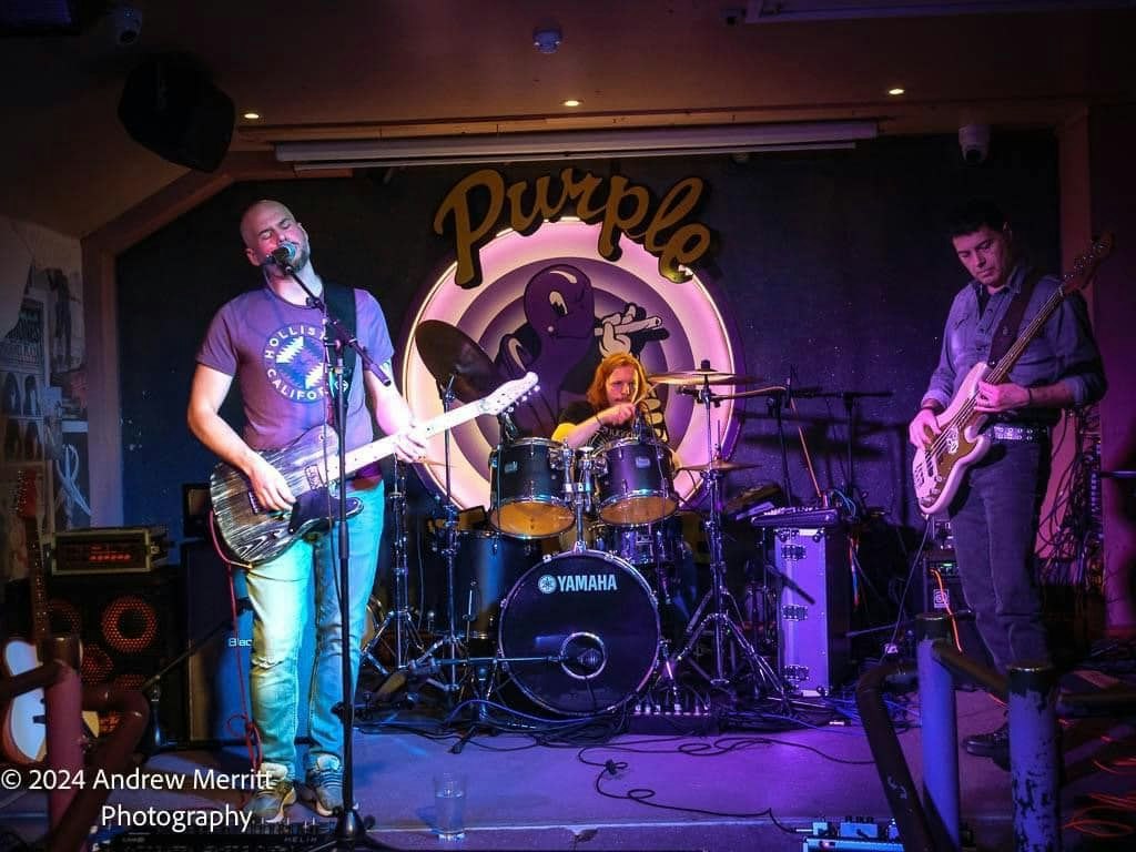 Picture of New Music Showcase